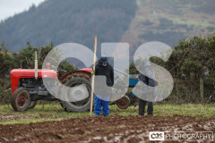 Ploughing Match at Ballagyr, Peel. Photo by Callum Staley (CJS Photography).