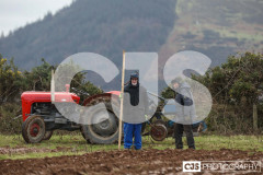 Ploughing Match at Ballagyr, Peel. Photo by Callum Staley (CJS Photography).