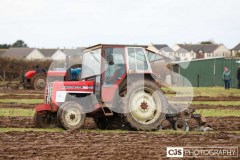 Ploughing Match at Ballagyr, Peel. Photo by Callum Staley (CJS Photography).