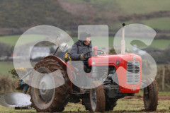Ploughing Match at Ballagyr, Peel. Photo by Callum Staley (CJS Photography).