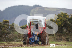 Ploughing Match at Ballagyr, Peel. Photo by Callum Staley (CJS Photography).