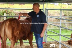 Royal Manx Agricultural Show 2025. Photo by Callum Staley (CJS Photography)
