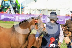 Royal Manx Agricultural Show 2024. Photo by Callum Staley (CJS Photography)