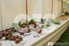 Royal Manx Agricultural Show 2024. Photo by Callum Staley (CJS Photography)