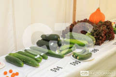 Royal Manx Agricultural Show 2024. Photo by Callum Staley (CJS Photography)