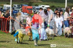 Royal Manx Agricultural Show 2024. Photo by Callum Staley (CJS Photography)