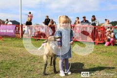 Royal Manx Agricultural Show 2024. Photo by Callum Staley (CJS Photography)