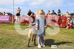 Royal Manx Agricultural Show 2024. Photo by Callum Staley (CJS Photography)