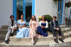 Tynwald Garden Party 2025